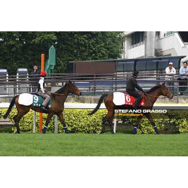 Morning trackworks at Sha Tin racetrack - Board Meeting (left) and Planteur Hong Kong- Sha Tin, 7th dec. 2010 ph. Stefano Grasso