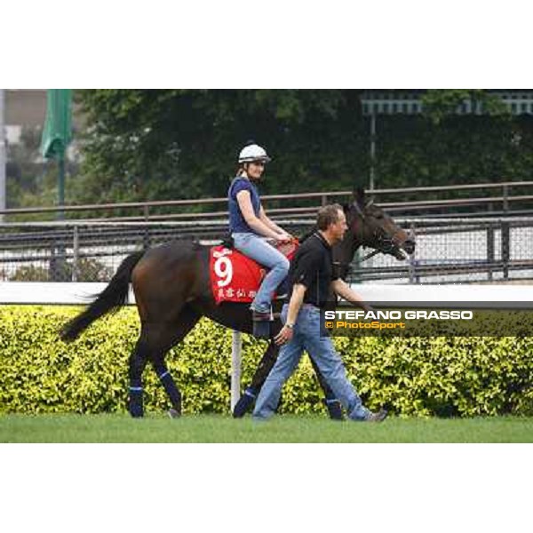 Morning trackworks at Sha Tin racetrack - Snow Fairy Hong Kong- Sha Tin, 7th dec. 2010 ph. Stefano Grasso