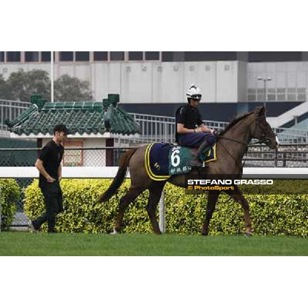 Morning trackworks at Sha Tin racetrack - Indian Days Hong Kong- Sha Tin, 7th dec. 2010 ph. Stefano Grasso