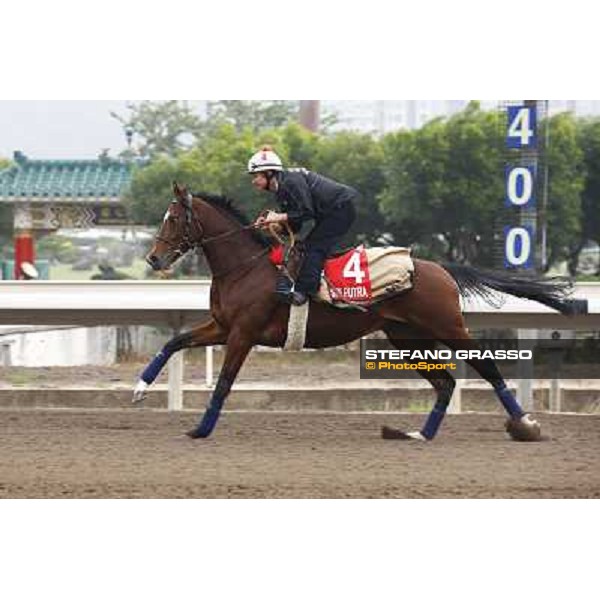 Morning trackworks at Sha Tin racetrack - Sri Putra Hong Kong- Sha Tin, 7th dec. 2010 ph. Stefano Grasso