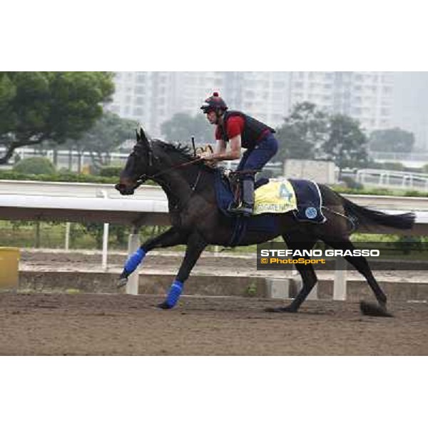 Morning trackworks at Sha Tin racetrack - Kingsgate Native Hong Kong- Sha Tin, 7th dec. 2010 ph. Stefano Grasso