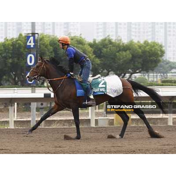 Morning trackworks at Sha Tin racetrack - Jaguar Mail Hong Kong- Sha Tin, 7th dec. 2010 ph. Stefano Grasso