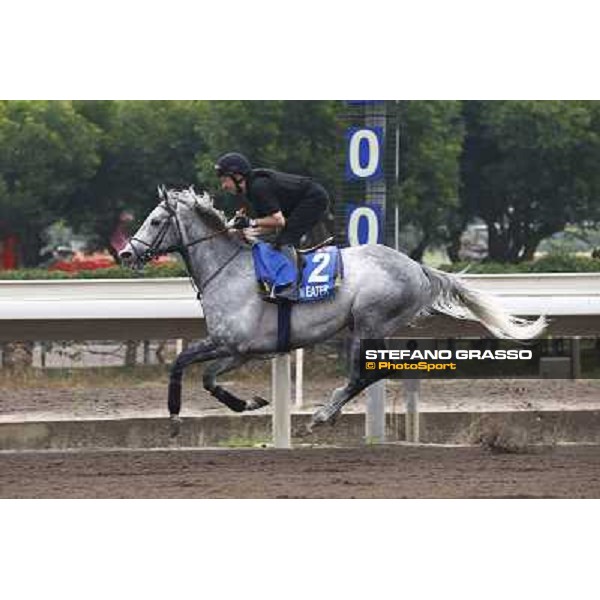Morning trackworks at Sha Tin racetrack - Dream Eater Hong Kong- Sha Tin, 7th dec. 2010 ph. Stefano Grasso