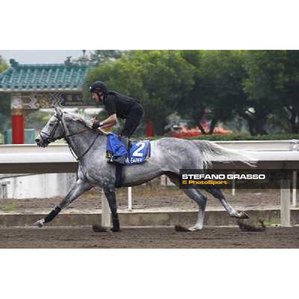 Morning trackworks at Sha Tin racetrack - Dream Eater Hong Kong- Sha Tin, 7th dec. 2010 ph. Stefano Grasso