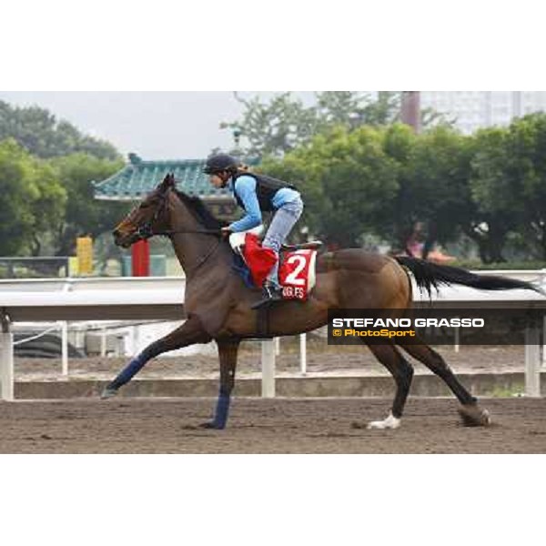Morning trackworks at Sha Tin racetrack - Cirrus des Aigles Hong Kong- Sha Tin, 7th dec. 2010 ph. Stefano Grasso