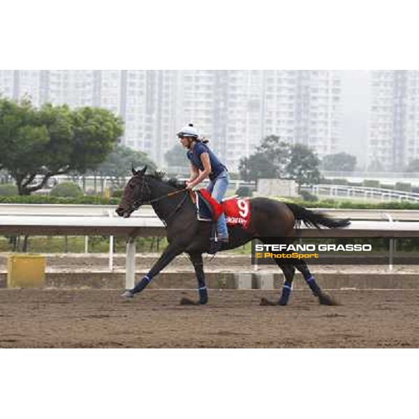 Morning trackworks at Sha Tin racetrack - Snow Fairy Hong Kong- Sha Tin, 7th dec. 2010 ph. Stefano Grasso