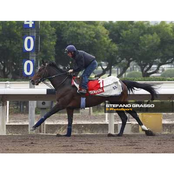 Morning trackworks at Sha Tin racetrack - Vision d\'Etat Hong Kong- Sha Tin, 7th dec. 2010 ph. Stefano Grasso