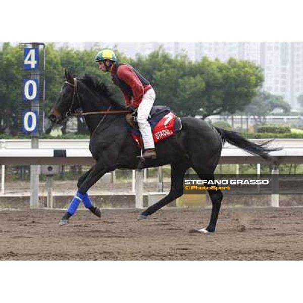 Morning trackworks at Sha Tin racetrack - Stacelita Hong Kong- Sha Tin, 7th dec. 2010 ph. Stefano Grasso