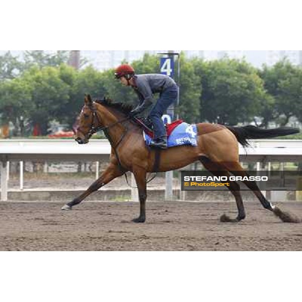 Morning trackworks at Sha Tin racetrack - Beethoven Hong Kong- Sha Tin, 7th dec. 2010 ph. Stefano Grasso