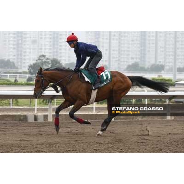 Morning trackworks at Sha Tin racetrack - Joshua Tree Hong Kong- Sha Tin, 7th dec. 2010 ph. Stefano Grasso