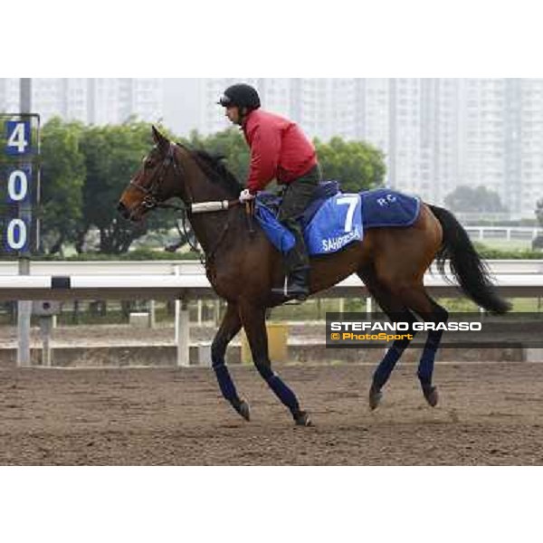 Morning trackworks at Sha Tin racetrack - Sahpresa Hong Kong- Sha Tin, 7th dec. 2010 ph. Stefano Grasso
