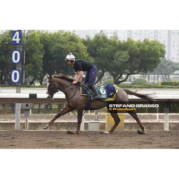 Morning trackworks at Sha Tin racetrack - Indian Days Hong Kong- Sha Tin, 7th dec. 2010 ph. Stefano Grasso