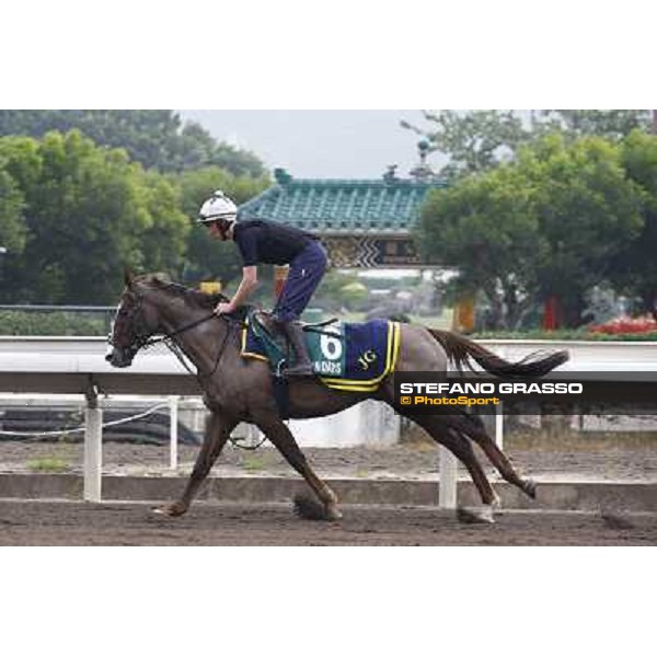 Morning trackworks at Sha Tin racetrack - Indian Days Hong Kong- Sha Tin, 7th dec. 2010 ph. Stefano Grasso