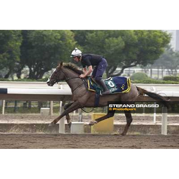 Morning trackworks at Sha Tin racetrack - Indian Days Hong Kong- Sha Tin, 7th dec. 2010 ph. Stefano Grasso