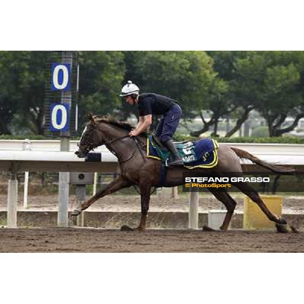 Morning trackworks at Sha Tin racetrack - Indian Days Hong Kong- Sha Tin, 7th dec. 2010 ph. Stefano Grasso