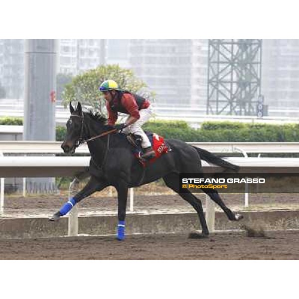 Morning trackworks at Sha Tin racetrack - Stacelita Hong Kong- Sha Tin, 7th dec. 2010 ph. Stefano Grasso