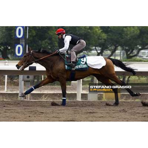 Morning trackworks at Sha Tin racetrack - Board Meeting Hong Kong- Sha Tin, 7th dec. 2010 ph. Stefano Grasso