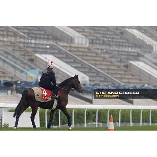 Morning trackworks at Sha Tin racetrack - Sri Putra Hong Kong- Sha Tin, 7th dec. 2010 ph. Stefano Grasso