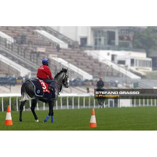 Morning trackworks at Sha Tin racetrack - Glass Harmonium Hong Kong- Sha Tin, 7th dec. 2010 ph. Stefano Grasso