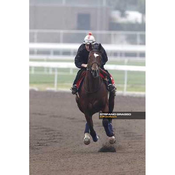 Morning trackworks at Sha Tin racetrack - Sri Putra Hong Kong- Sha Tin, 7th dec. 2010 ph. Stefano Grasso