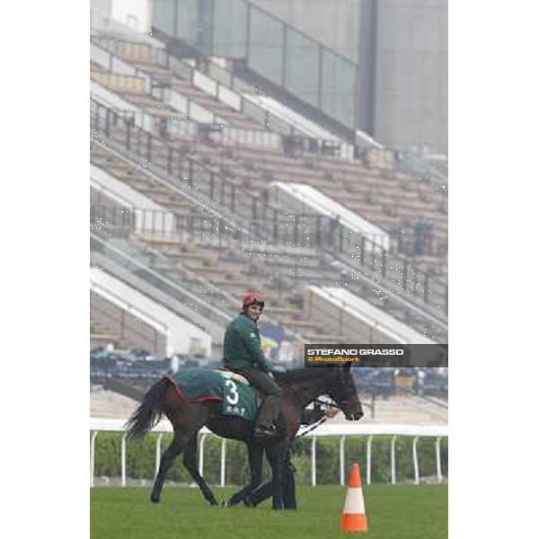 Morning trackworks at Sha Tin racetrack - Endo Botti on Jakkalberry Hong Kong- Sha Tin, 7th dec. 2010 ph. Stefano Grasso