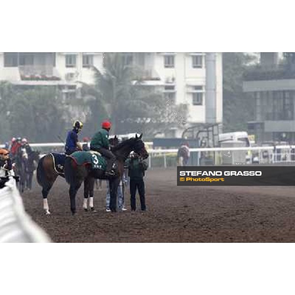 Morning trackworks at Sha Tin racetrack - Endo Botti on Jakkalberry Hong Kong- Sha Tin, 7th dec. 2010 ph. Stefano Grasso