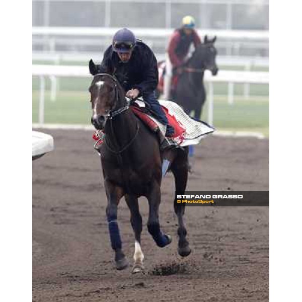 Morning trackworks at Sha Tin racetrack - Vision d\'Etat Hong Kong- Sha Tin, 7th dec. 2010 ph. Stefano Grasso