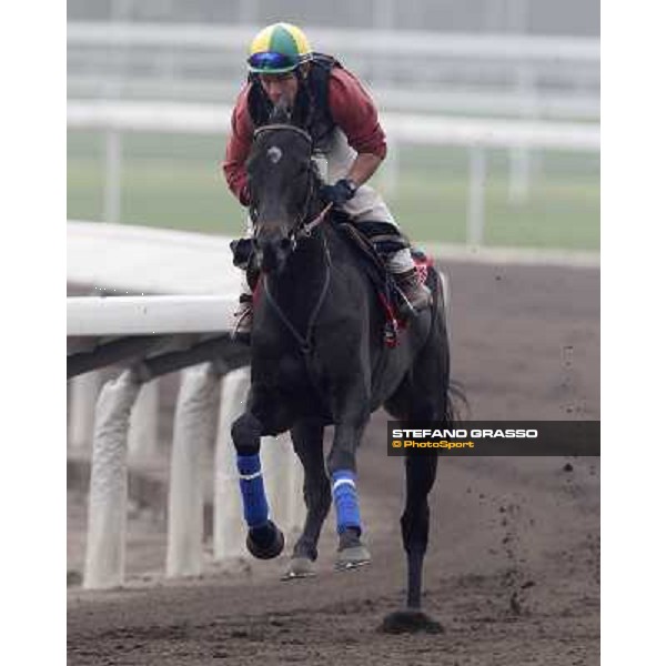 Morning trackworks at Sha Tin racetrack -Stacelita Hong Kong- Sha Tin, 7th dec. 2010 ph. Stefano Grasso