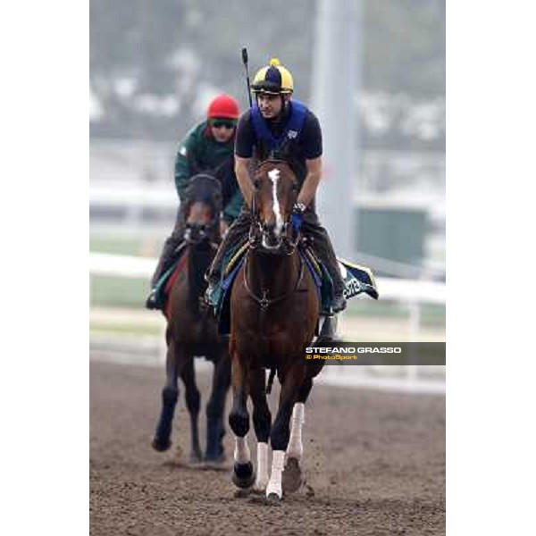 Morning trackworks at Sha Tin racetrack - Winchester and Jakkalberry Hong Kong- Sha Tin, 7th dec. 2010 ph. Stefano Grasso