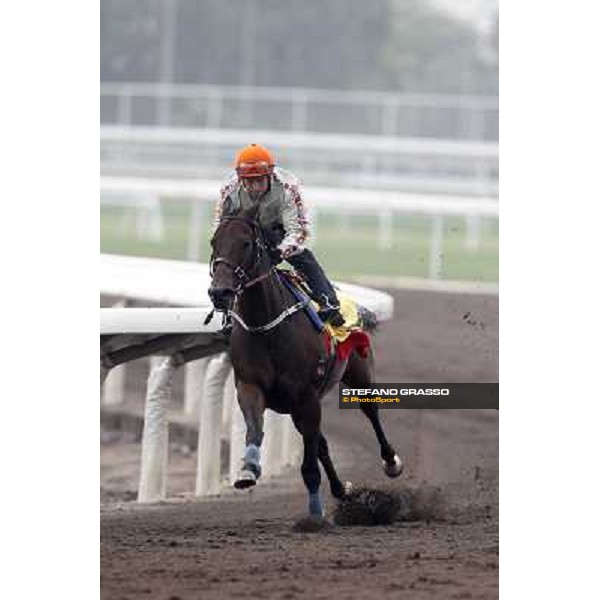 Morning trackworks at Sha Tin racetrack - Rocket Man Hong Kong- Sha Tin, 7th dec. 2010 ph. Stefano Grasso
