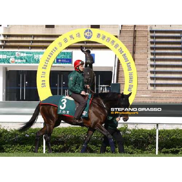 Morning trackworks at Sha Tin racetrack - Endo Botti and Jakkalberry Hong Kong- Sha Tin, 8th dec. 2010 ph. Stefano Grasso