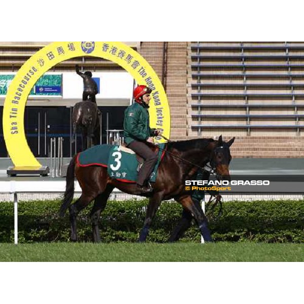 Morning trackworks at Sha Tin racetrack - Endo Botti and Jakkalberry Hong Kong- Sha Tin, 8th dec. 2010 ph. Stefano Grasso