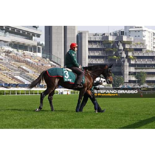 Morning trackworks at Sha Tin racetrack - Endo Botti and Jakkalberry Hong Kong- Sha Tin, 8th dec. 2010 ph. Stefano Grasso