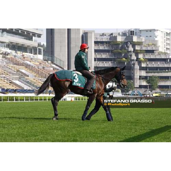 Morning trackworks at Sha Tin racetrack - Endo Botti and Jakkalberry Hong Kong- Sha Tin, 8th dec. 2010 ph. Stefano Grasso