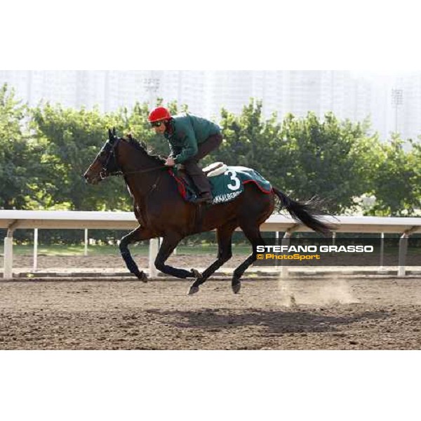 Morning trackworks at Sha Tin racetrack - Endo Botti and Jakkalberry Hong Kong- Sha Tin, 8th dec. 2010 ph. Stefano Grasso