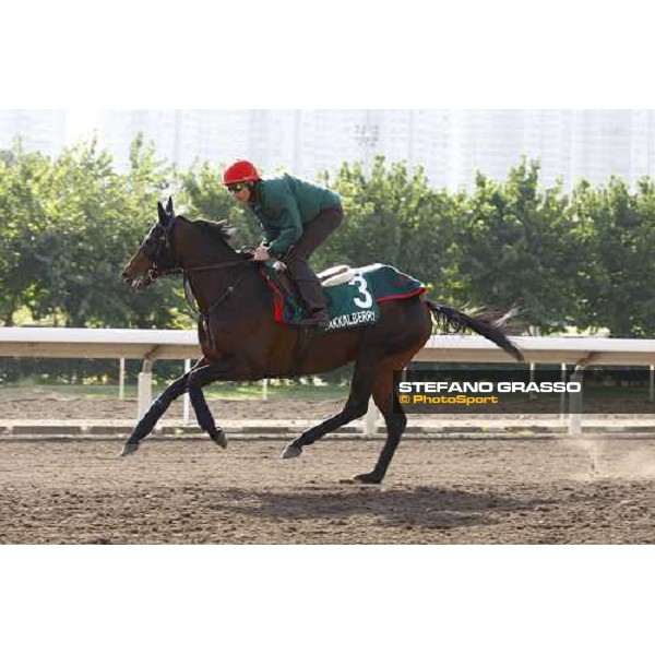 Morning trackworks at Sha Tin racetrack - Endo Botti and Jakkalberry Hong Kong- Sha Tin, 8th dec. 2010 ph. Stefano Grasso