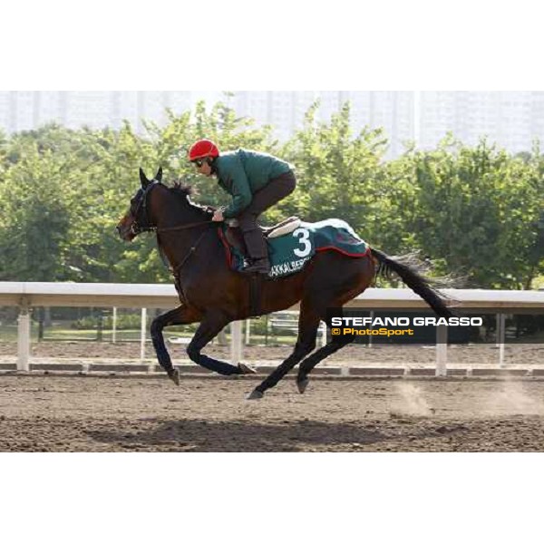 Morning trackworks at Sha Tin racetrack - Endo Botti and Jakkalberry Hong Kong- Sha Tin, 8th dec. 2010 ph. Stefano Grasso