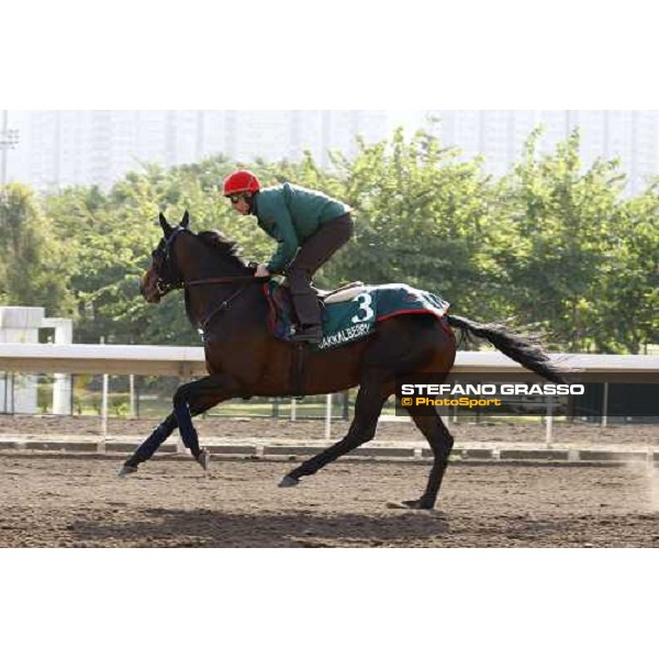 Morning trackworks at Sha Tin racetrack - Endo Botti and Jakkalberry Hong Kong- Sha Tin, 8th dec. 2010 ph. Stefano Grasso