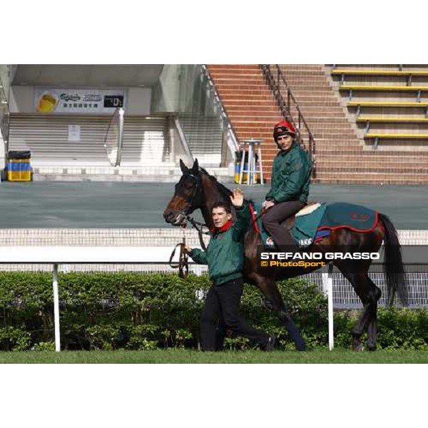 Morning trackworks at Sha Tin racetrack - Endo Botti and Jakkalberry Hong Kong- Sha Tin, 8th dec. 2010 ph. Stefano Grasso