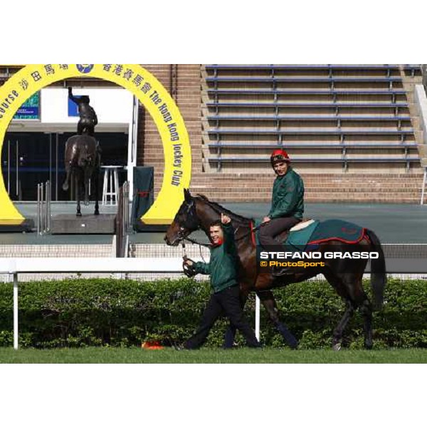 Morning trackworks at Sha Tin racetrack - Endo Botti and Jakkalberry Hong Kong- Sha Tin, 8th dec. 2010 ph. Stefano Grasso