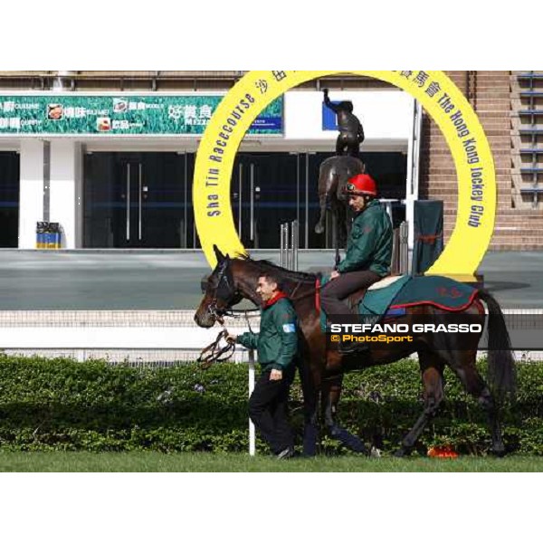 Morning trackworks at Sha Tin racetrack - Endo Botti and Jakkalberry Hong Kong- Sha Tin, 8th dec. 2010 ph. Stefano Grasso