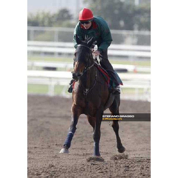 Morning trackworks at Sha Tin racetrack - Endo Botti and Jakkalberry Hong Kong- Sha Tin, 8th dec. 2010 ph. Stefano Grasso