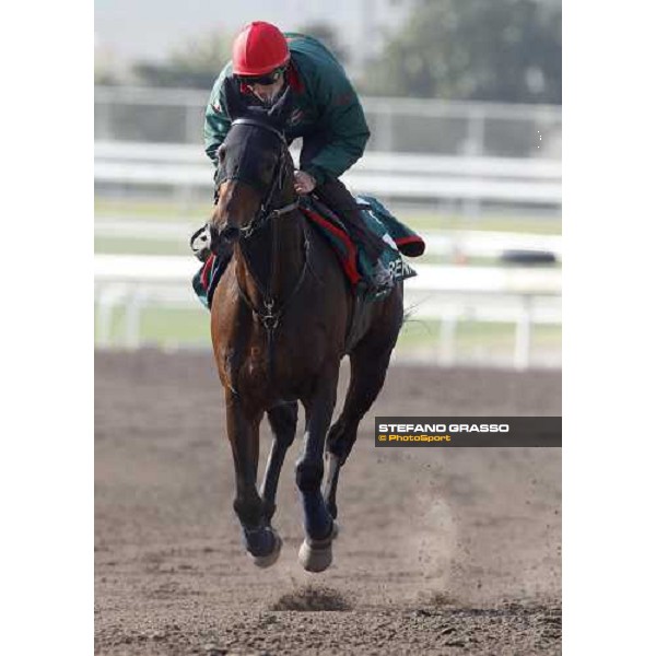 Morning trackworks at Sha Tin racetrack - Endo Botti and Jakkalberry Hong Kong- Sha Tin, 8th dec. 2010 ph. Stefano Grasso