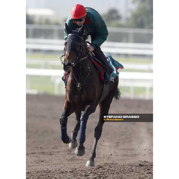 Morning trackworks at Sha Tin racetrack - Endo Botti and Jakkalberry Hong Kong- Sha Tin, 8th dec. 2010 ph. Stefano Grasso