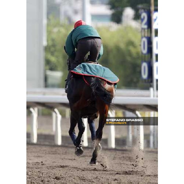 Morning trackworks at Sha Tin racetrack - Endo Botti and Jakkalberry Hong Kong- Sha Tin, 8th dec. 2010 ph. Stefano Grasso