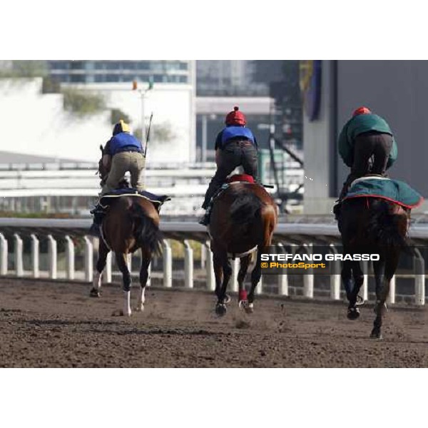 Morning trackworks at Sha Tin racetrack - Endo Botti and Jakkalberry Hong Kong- Sha Tin, 8th dec. 2010 ph. Stefano Grasso