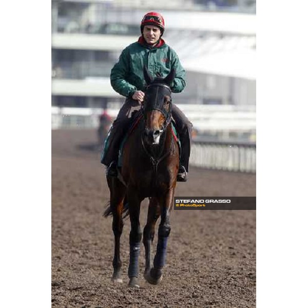 Morning trackworks at Sha Tin racetrack - Endo Botti and Jakkalberry Hong Kong- Sha Tin, 8th dec. 2010 ph. Stefano Grasso