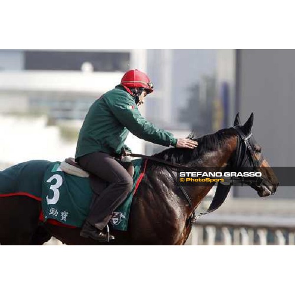 Morning trackworks at Sha Tin racetrack - Endo Botti and Jakkalberry Hong Kong- Sha Tin, 8th dec. 2010 ph. Stefano Grasso