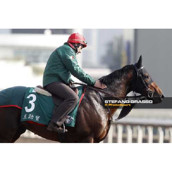 Morning trackworks at Sha Tin racetrack - Endo Botti and Jakkalberry Hong Kong- Sha Tin, 8th dec. 2010 ph. Stefano Grasso