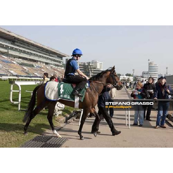 Morning trackworks at Sha Tin racetrack - Mastery Hong Kong- Sha Tin, 8th dec. 2010 ph. Stefano Grasso